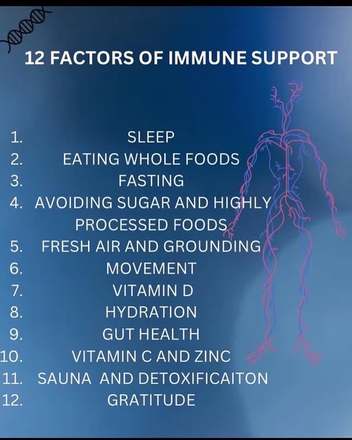 Family practicing healthy lifestyle habits for immune support, including balanced nutrition, outdoor activity, and holistic wellness routines